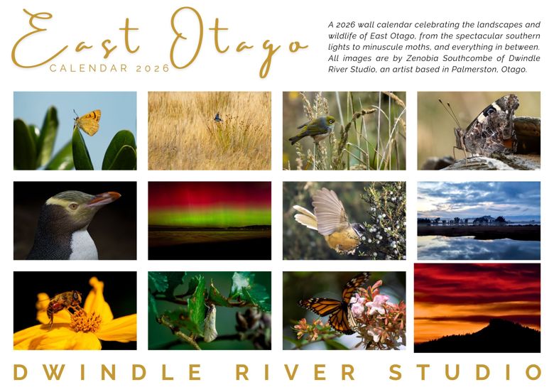 2026calendarzenobiasouthcombe_dwindleriverphotography
